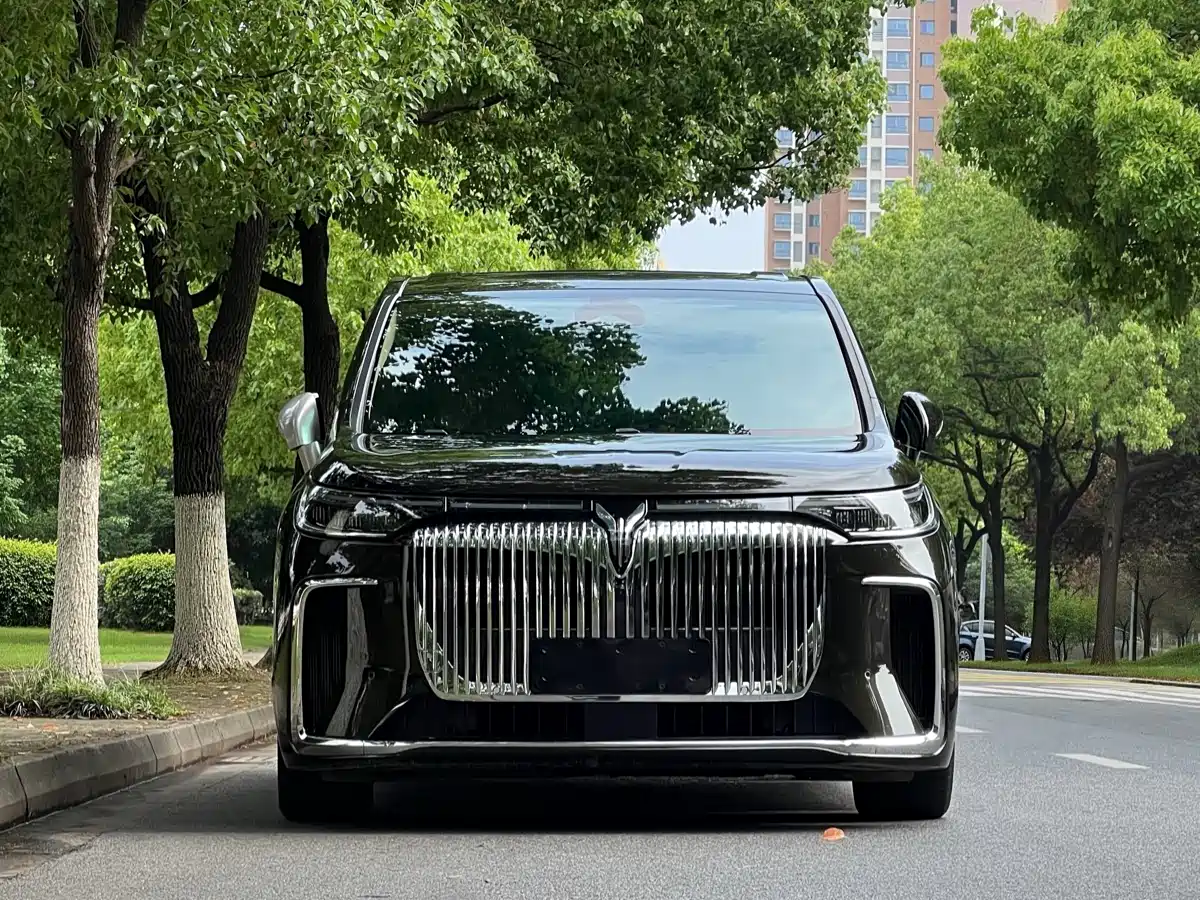 Voyah Auto Voyah Dreamer 2025 PHEV AWD Flagship Kunpeng Edition фото 2