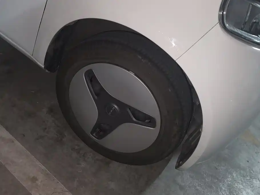 Ora White Cat 2021 2020 360km Luxury Model