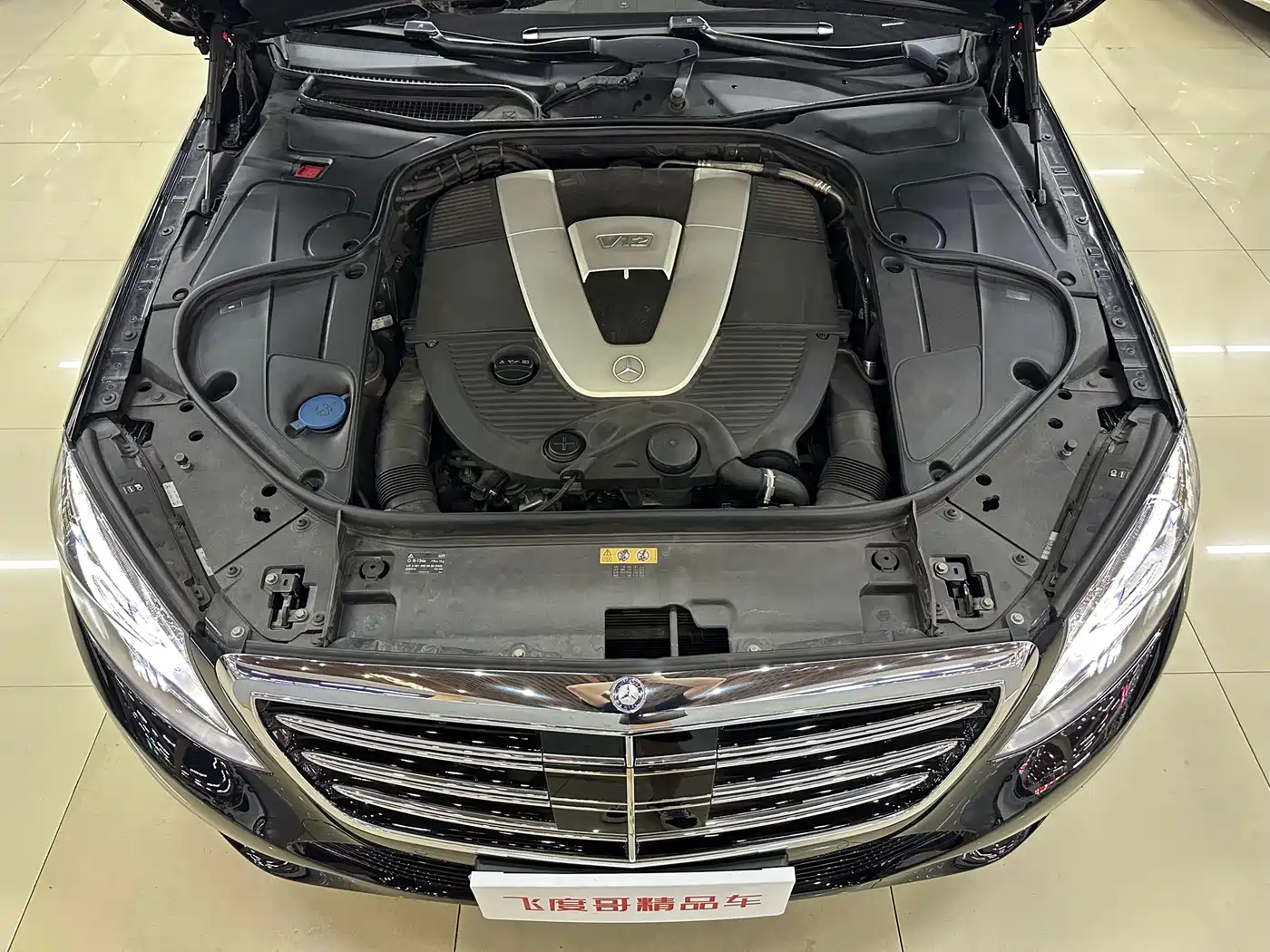 Mercedes-Benz S-Class 2014 S 600 L фото 22