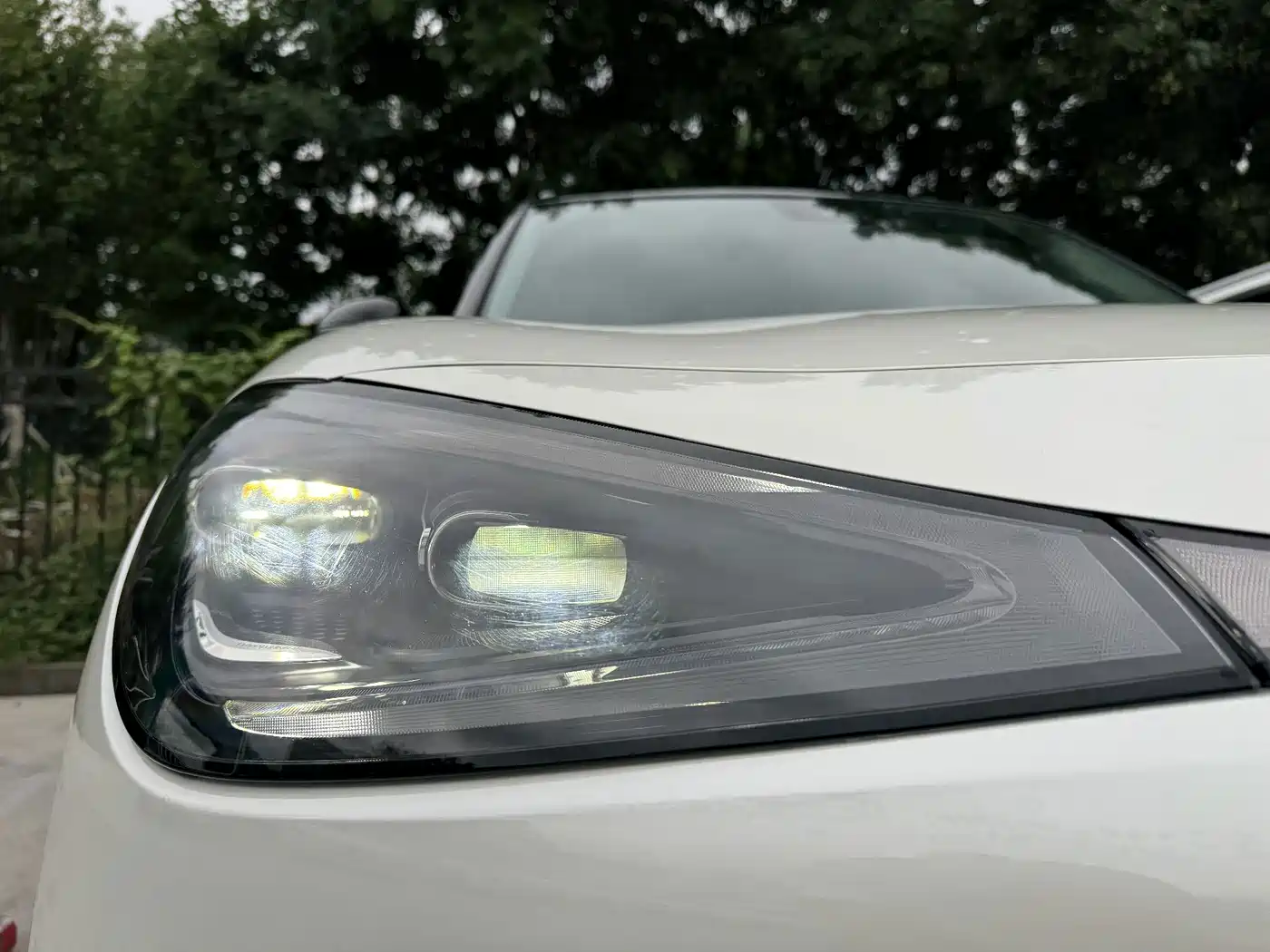 smart Elf #1 2023 2022 Premium Edition