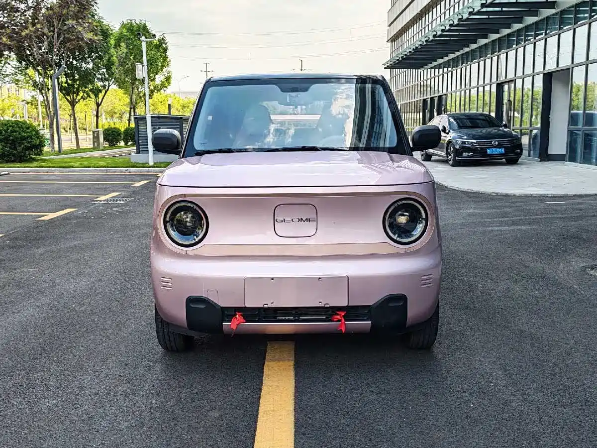 Geely Galaxy Panda 2024 Panda mini 200km Endurance Bear фото 2