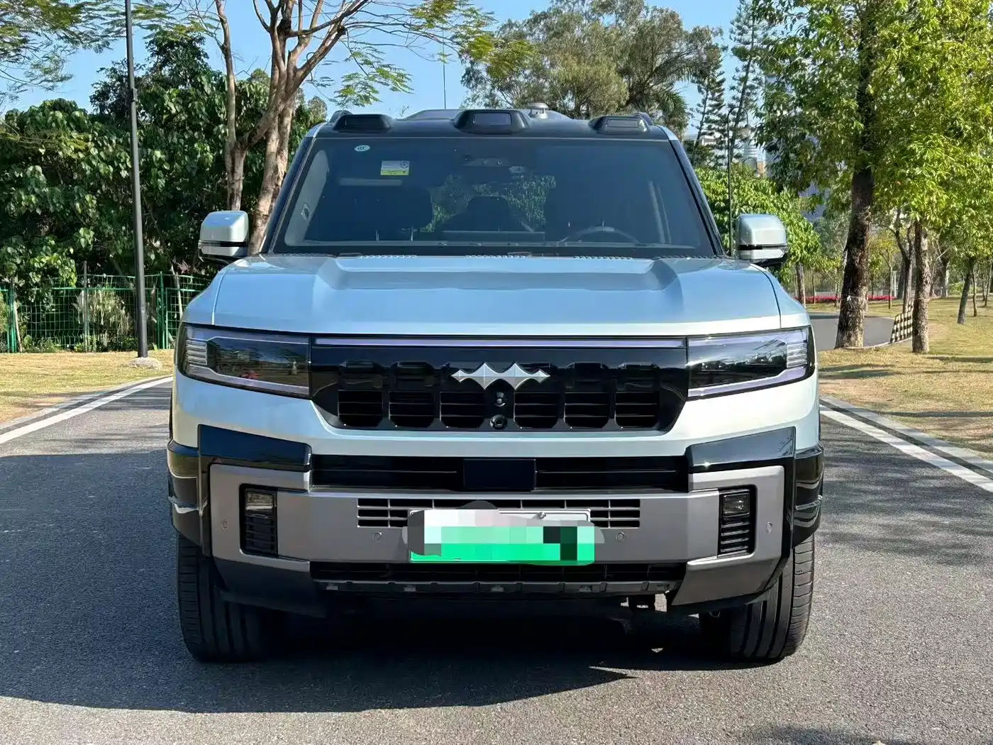 FANG CHENG BAO LEOPARD 8