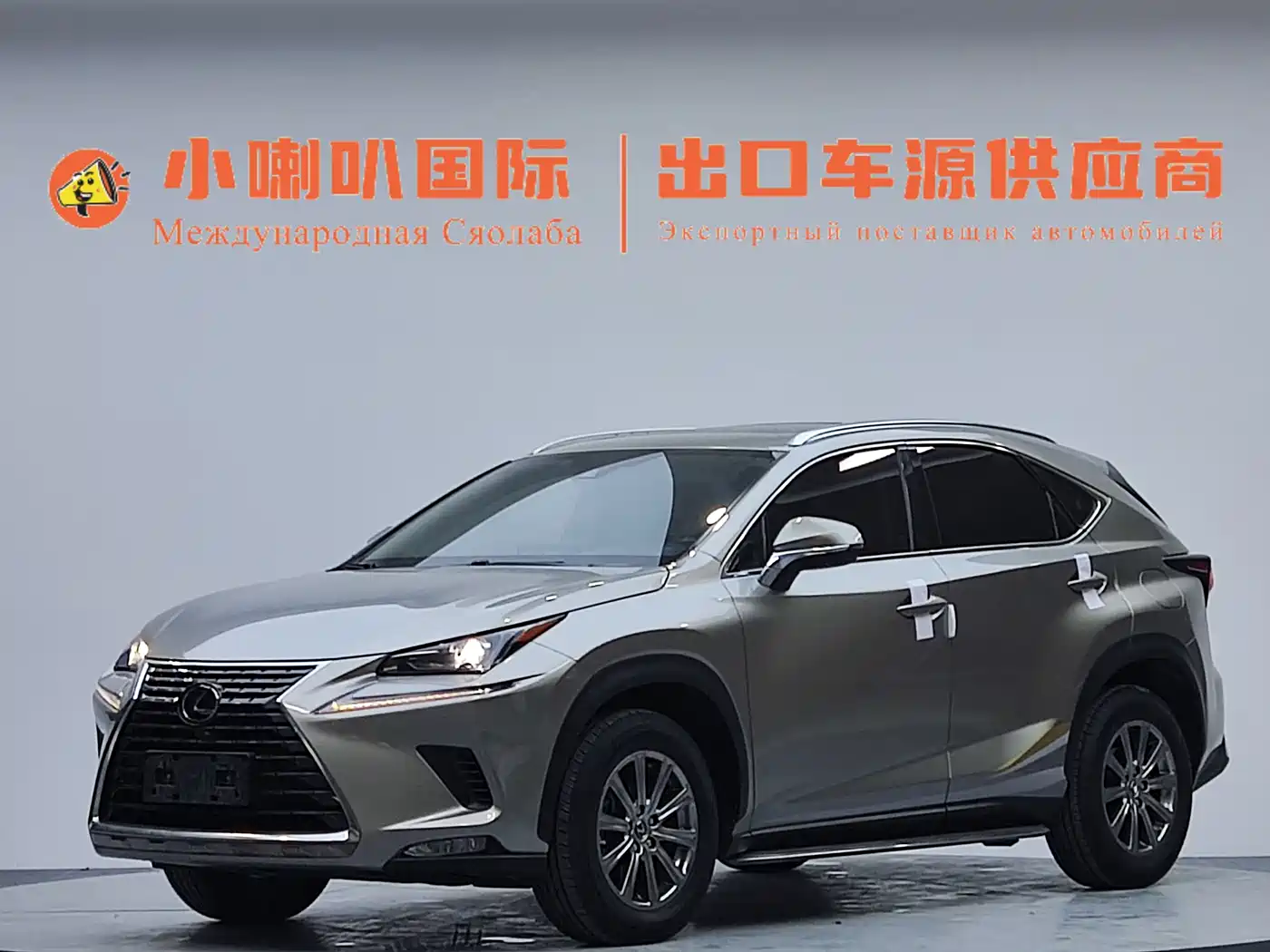 Lexus NX 2020 200 AWD F Sport China V