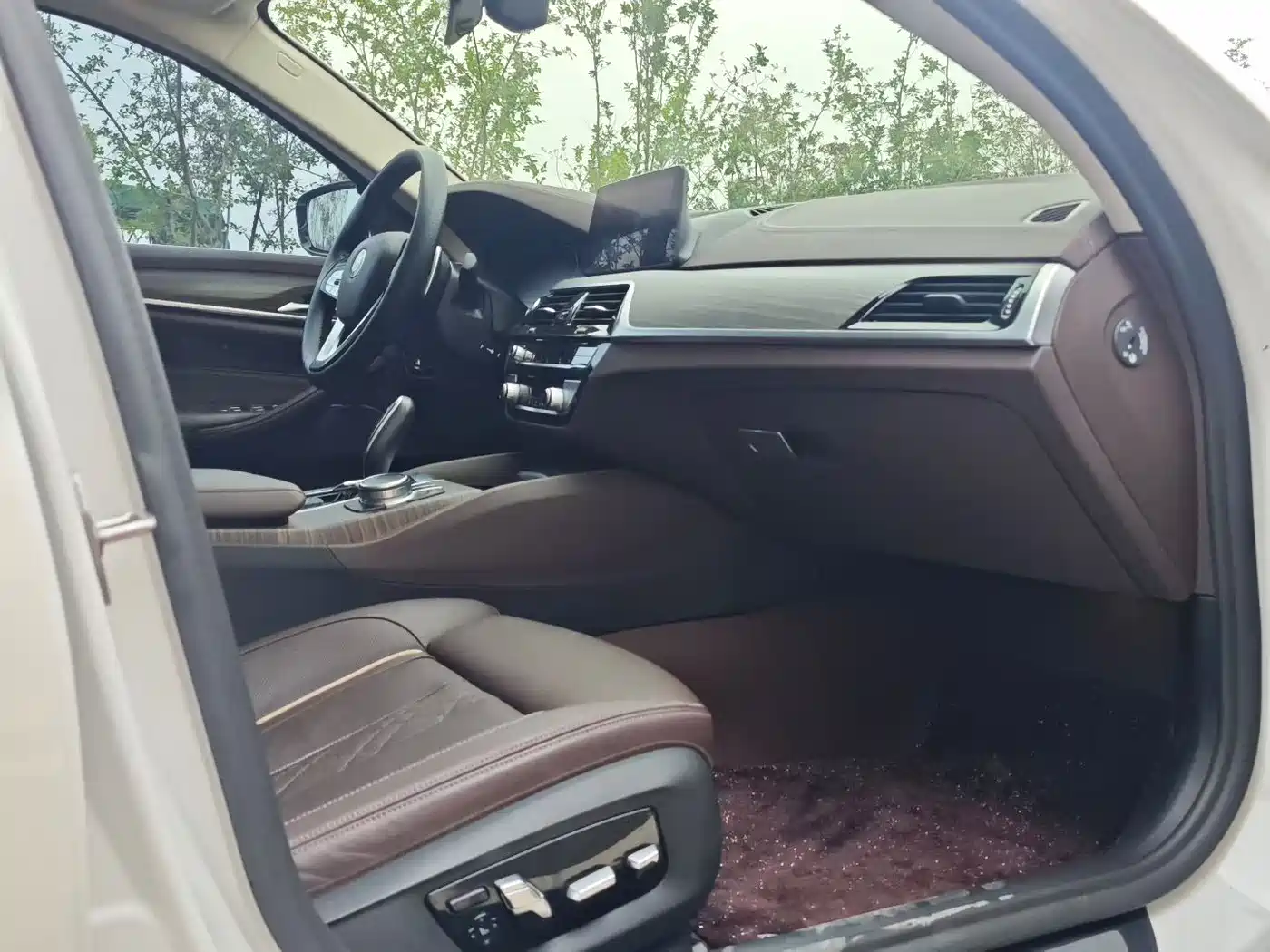 BMW 5 Series 2020 530Li Premium Luxury Package фото 9
