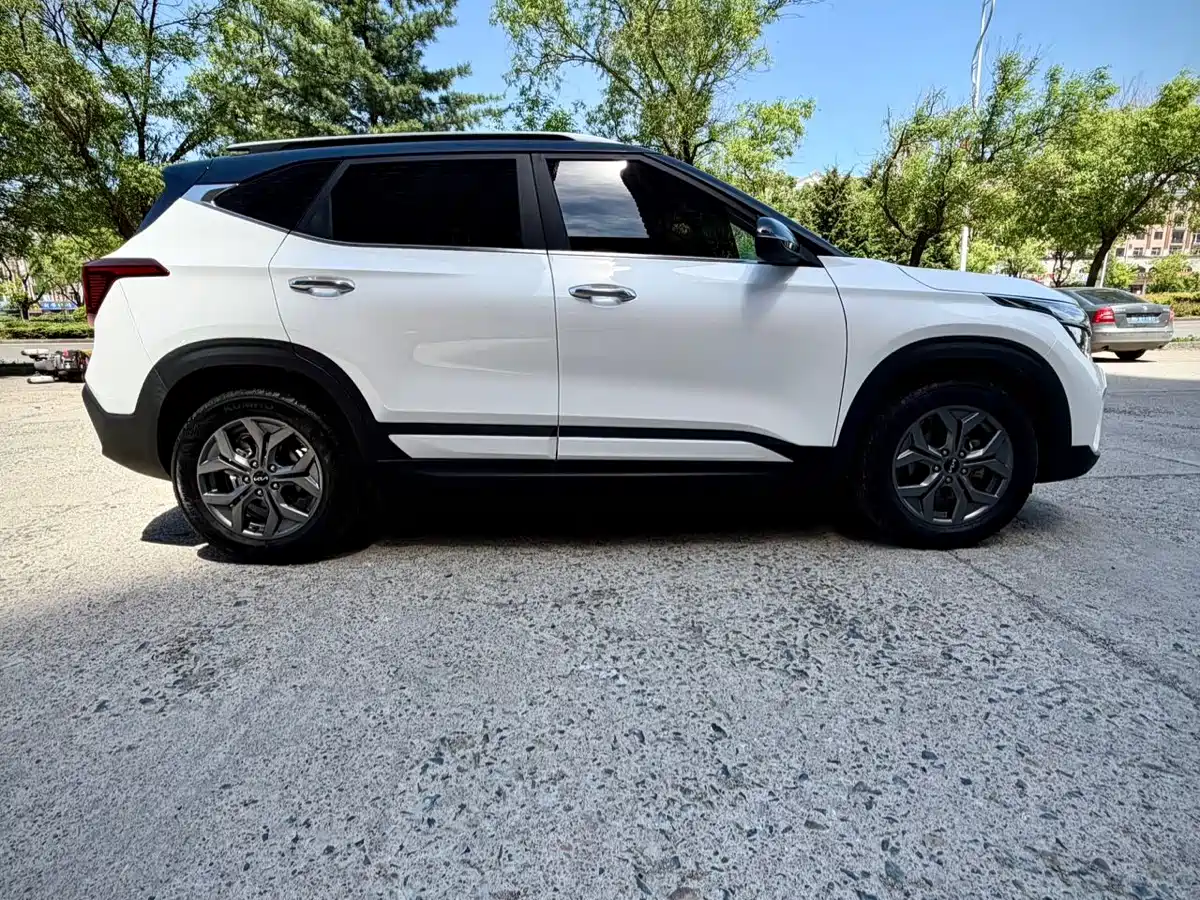 Kia Seltos 2023 1.5L CVT Luxury Edition фото 7