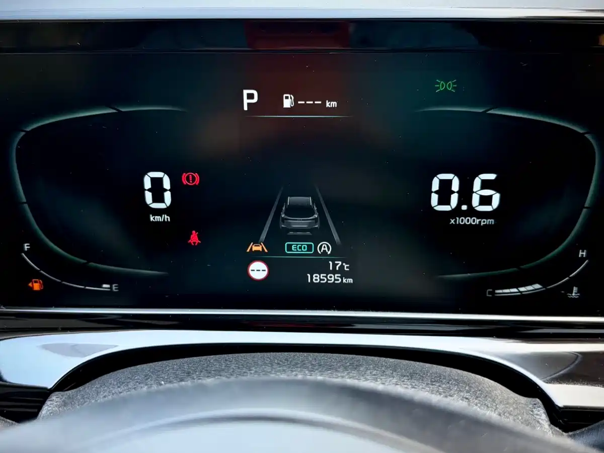 Kia Seltos 2023 1.5L CVT Luxury Edition фото 23