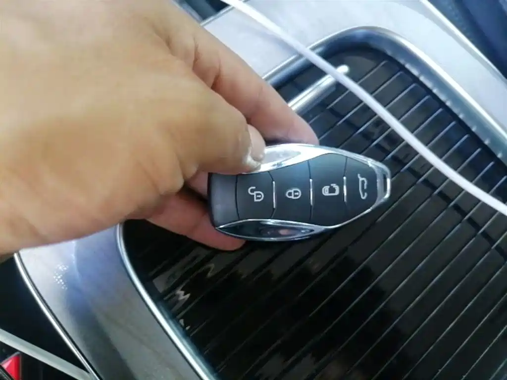 Hongqi HQ9 PHEV 2024 Model 2.0T AWD Business Edition фото 18