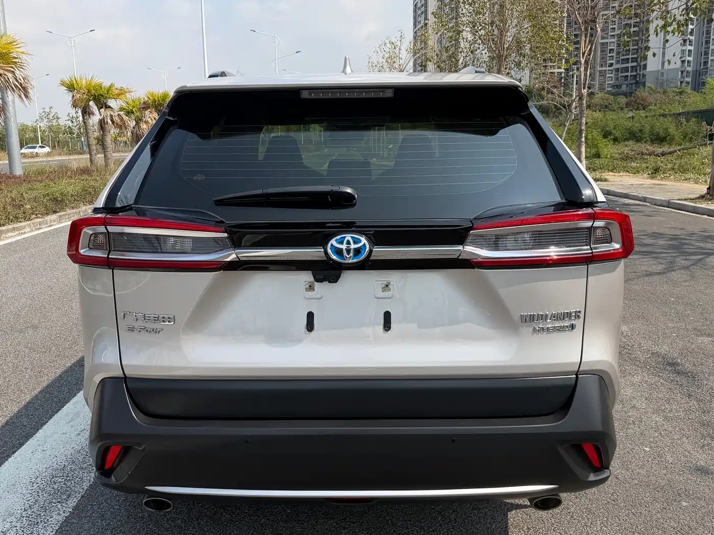 Toyota Wildlander 2020 Hybrid 2.5L E-CVT AWD Luxury Edition фото 5