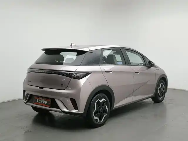 BYD Dolphin 2021 Model 405km Fashion Edition — фото 2