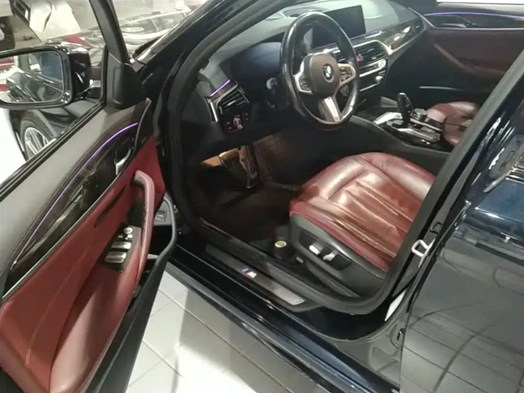 BMW 5 Series 2019 530Li Leading M Sport Package фото 13