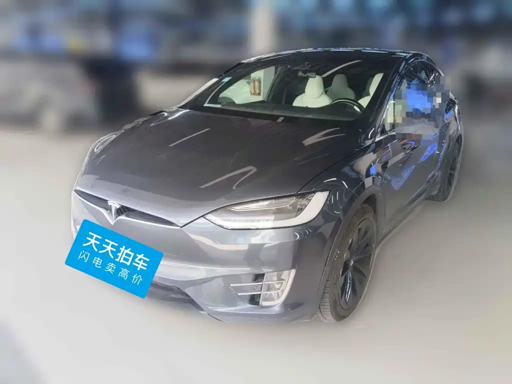 Фото 1 - Tesla Model X