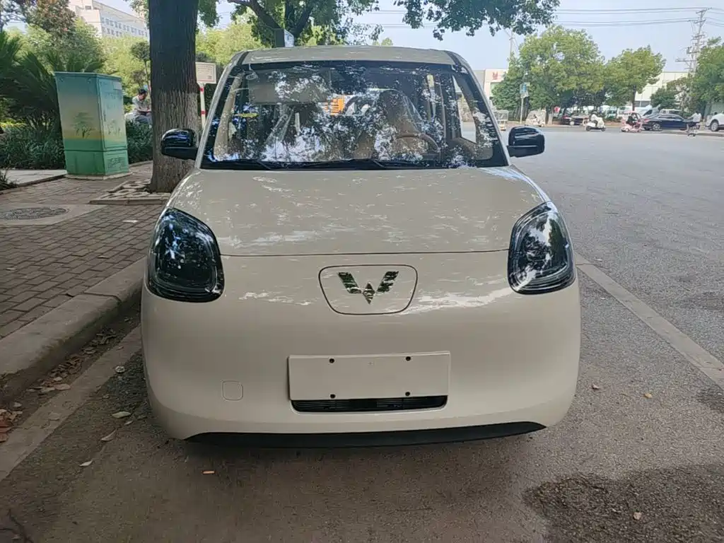 Фото 3 - Wuling Motors Hongguang MINIEV