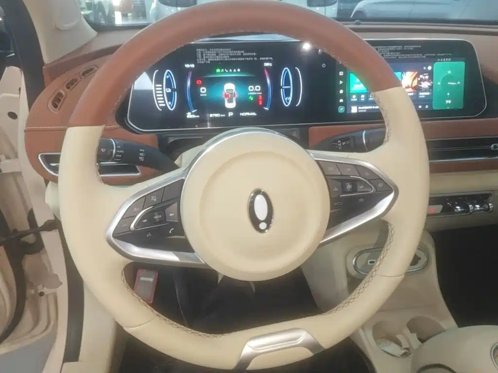 Ora Good Cat 2024 2023 401km Standard Range Luxury LFP