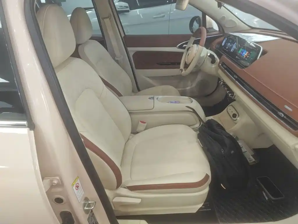 Ora Good Cat 2024 2023 401km Standard Range Luxury LFP