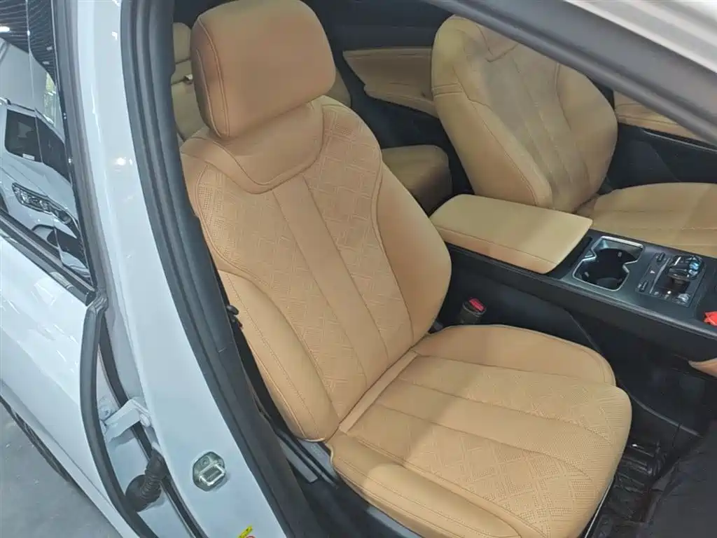 BYD Song L DM-i 2024 112km Leading Edition фото 25