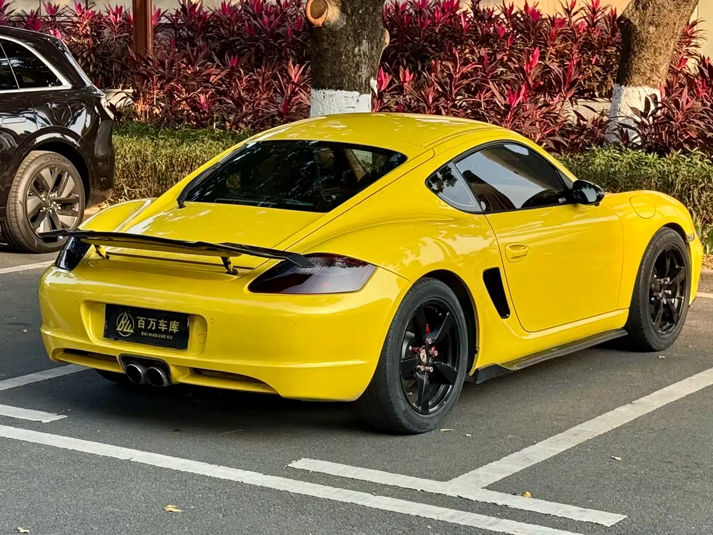 Porsche Cayman фото 20