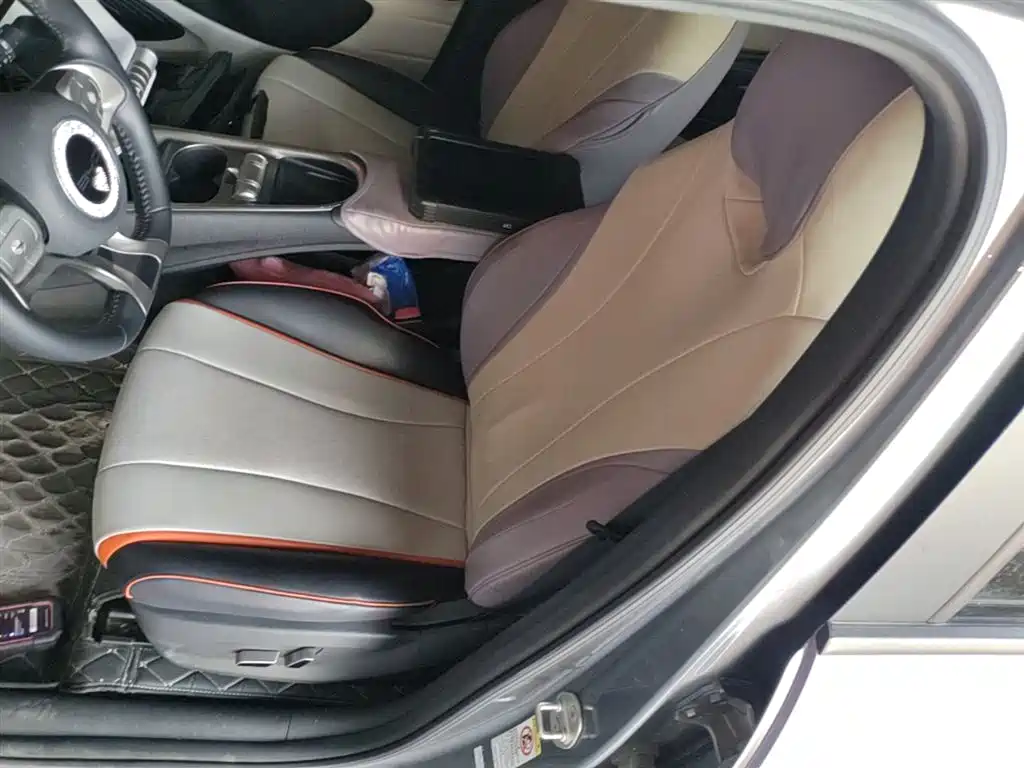 BYD Dolphin 2021 Model 405km Fashion Edition фото 15