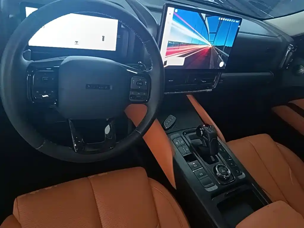Haval H9 2024 2.0T Gasoline AWD Extreme Edition фото 10