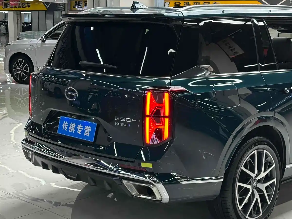 GAC Trumpchi Trumpchi GS8 2024 Dual Engine Series 2.0TM 4WD Premium Edition фото 7