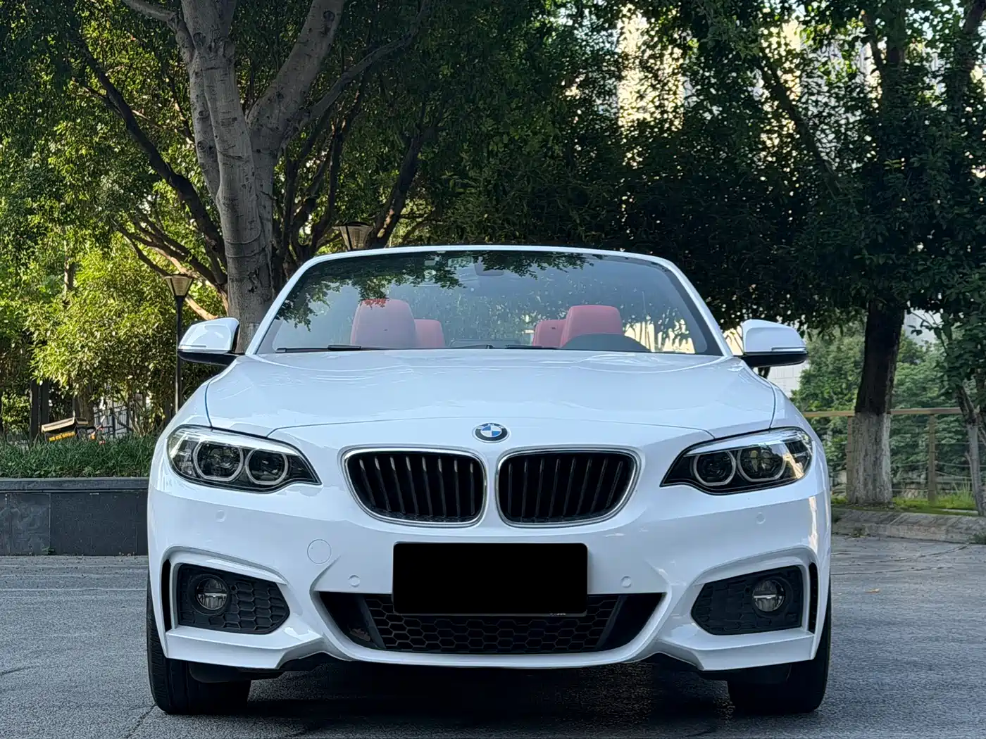 BMW 2 Series (Import) 2018 225i Convertible Coupe Premium M Sport Package фото 2