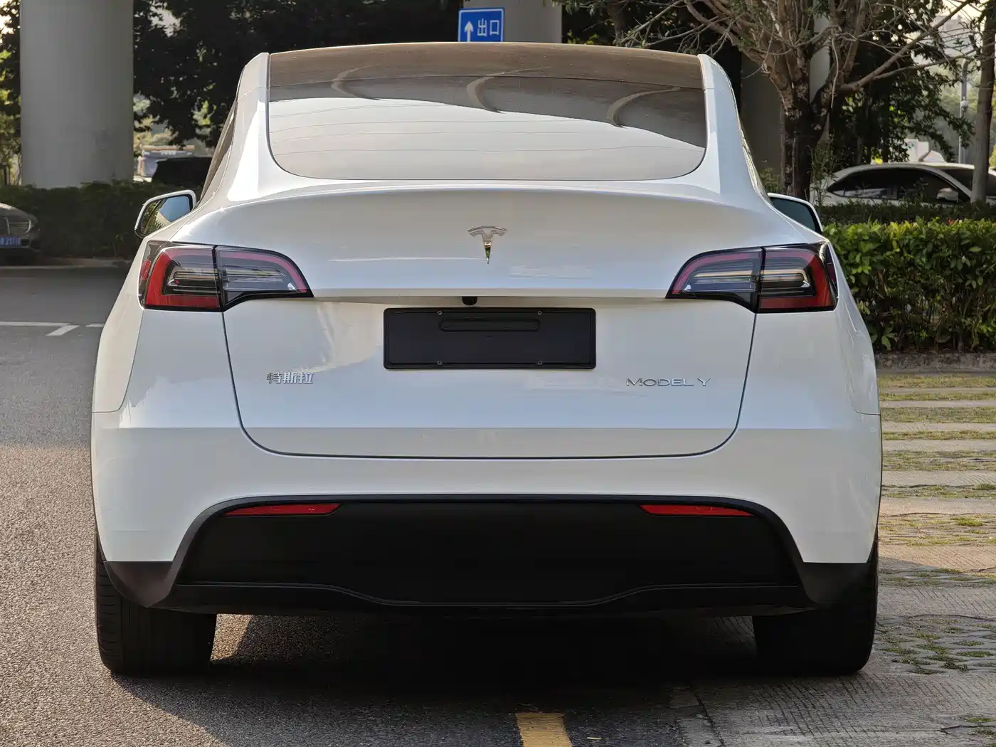 TESLA MODEL Y