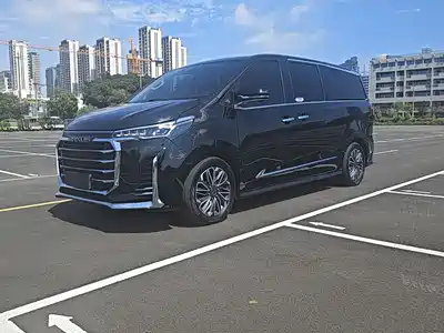 Maxus G20