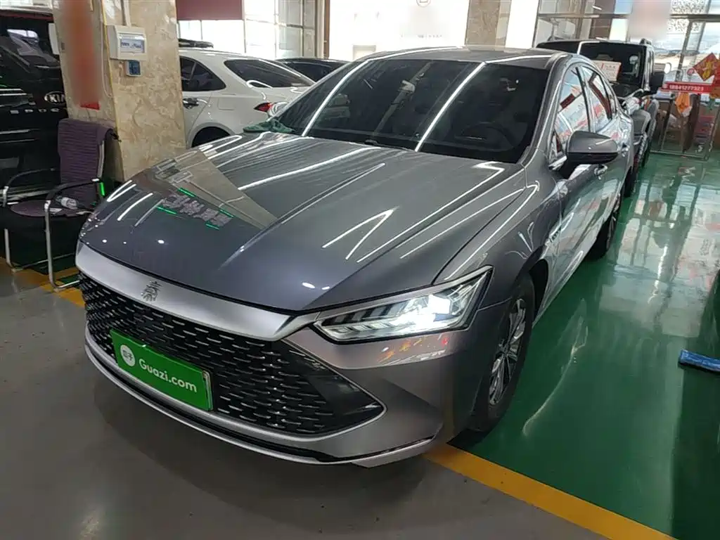 BYD Qin PLUS 2024 Glory Edition DM-i 55KM Leading фото 2