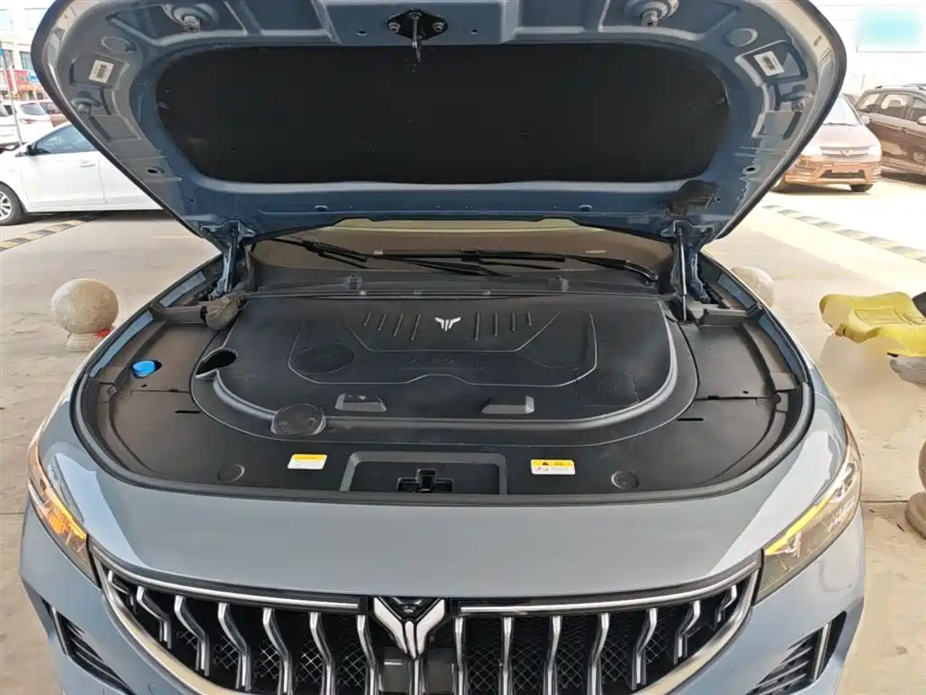 Voyah Auto VOYAH FREE 2021 AWD Standard Range Extender Exclusive Luxury Package фото 20