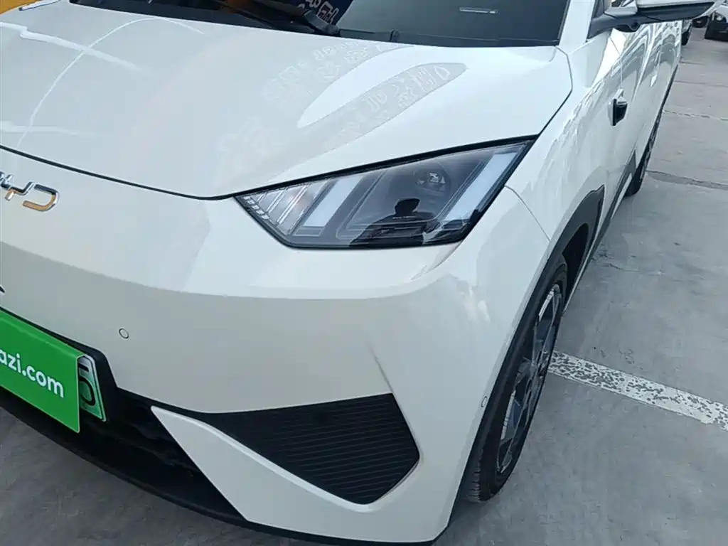 BYD Seagull 2025 Smart Drive Edition 305km Freedom Version фото 24