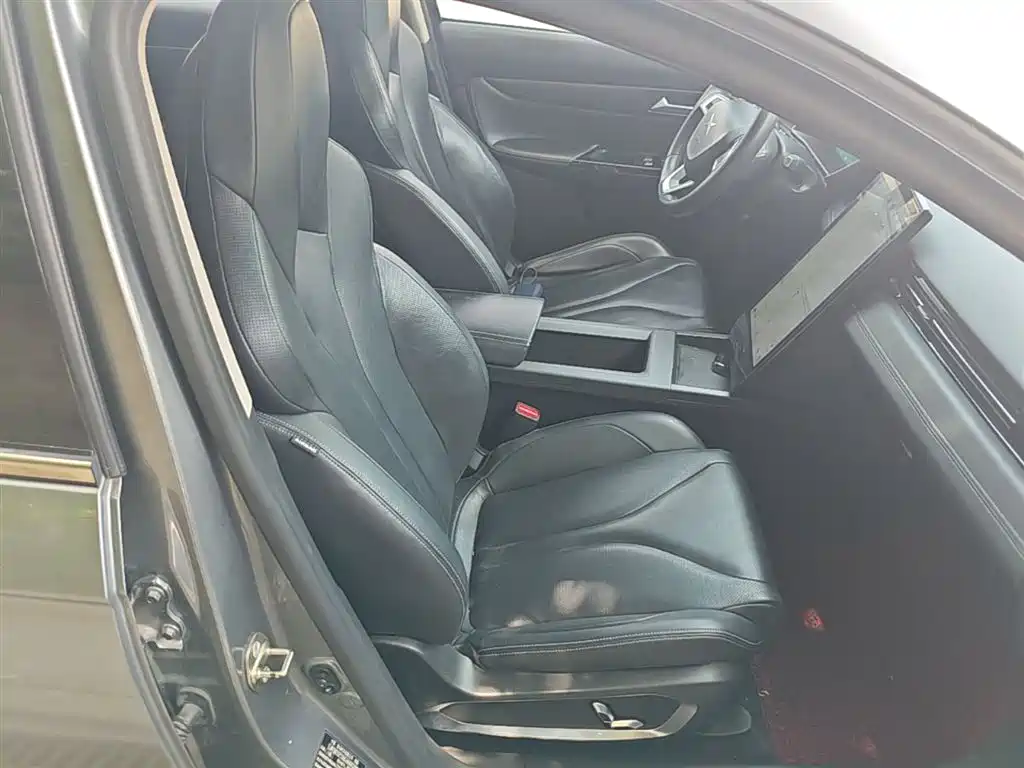 XPeng G3 2019 Premium Edition фото 25