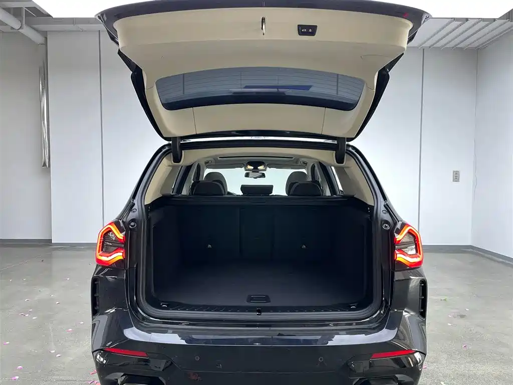 BMW X3 2022 xDrive30i Leading M Night Package фото 29