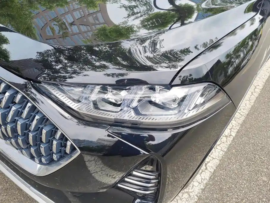 WEY Mocha 2021 2021 2.0T 2WD Premium Edition