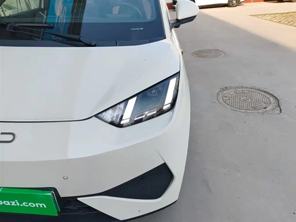 BYD Seagull 2025 Smart Drive Edition 305km Freedom Version фото 24