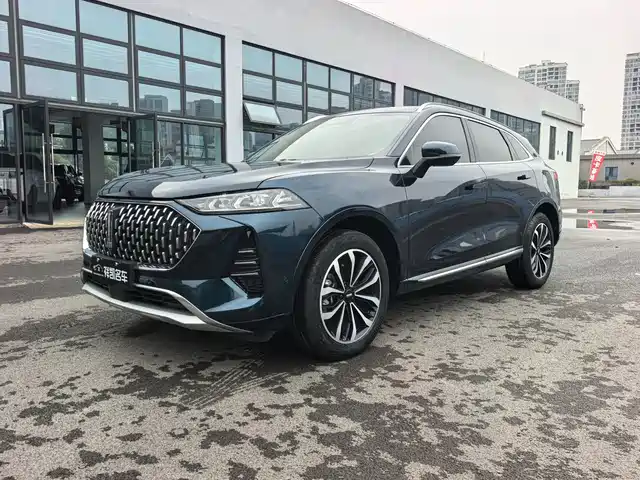 Wey Mocca 2.0T, моноприводный, Extra Strong