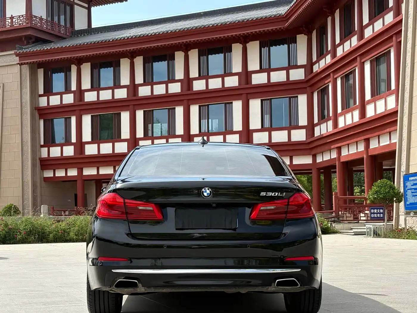 BMW 5 Series 2020 530Li Leading Luxury Package фото 8