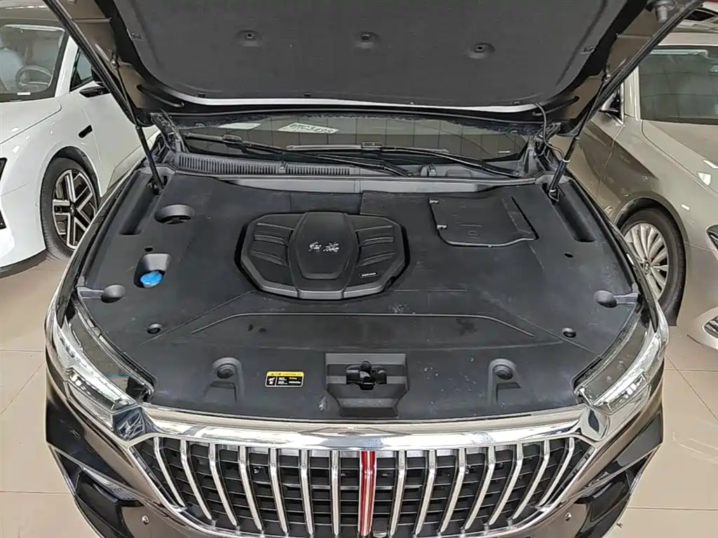 Hongqi HS5 2019 2.0T Smart Connect Enjoy Edition фото 20