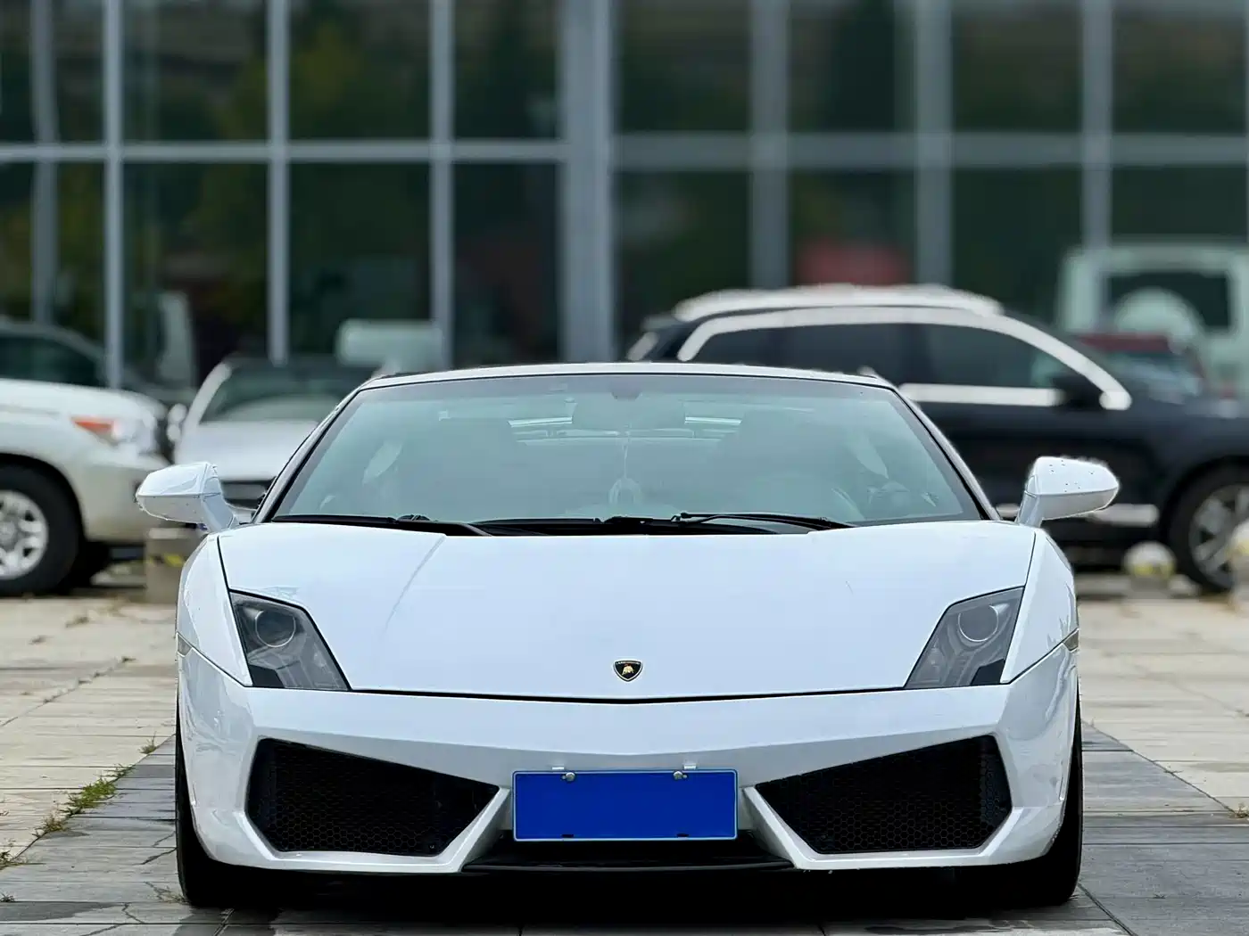 Lamborghini Gallardo 2009 2008 LP 560-4