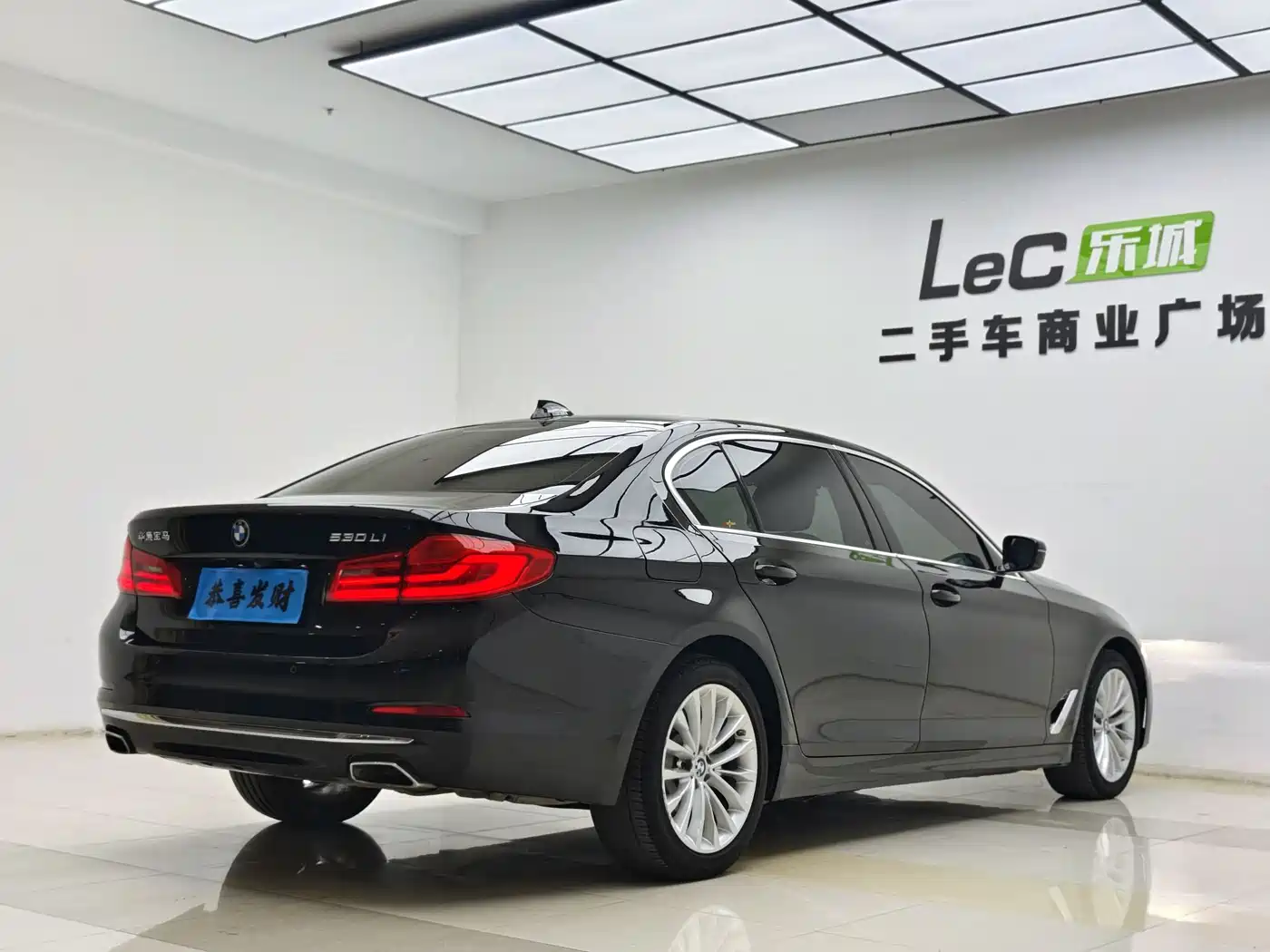 BMW 5 Series 2020 530Li Leading Luxury Package фото 15