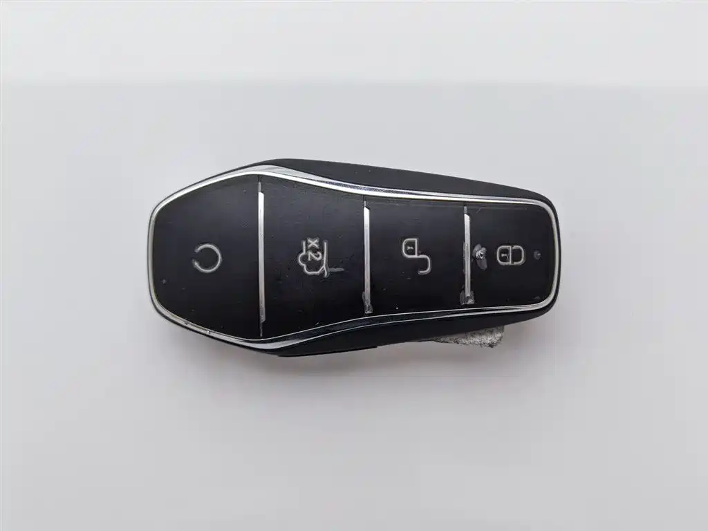 BYD Qin PLUS 2024 Glory Edition DM-i 55KM Leading фото 19