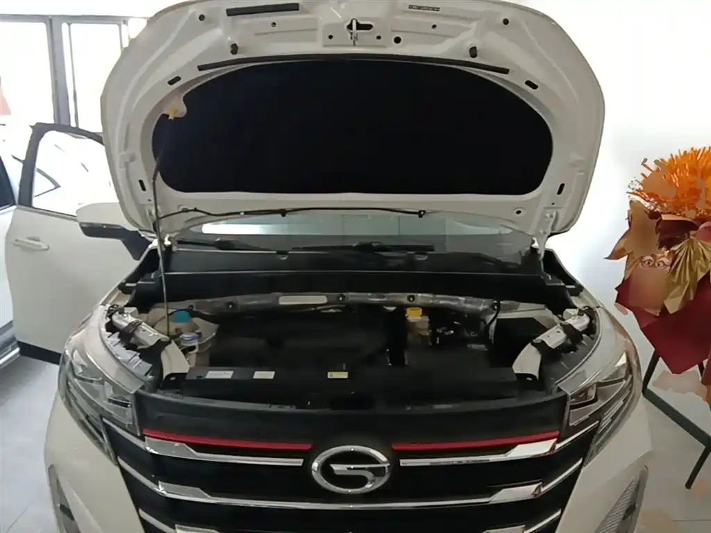 GAC Trumpchi Trumpchi GS3 2022 POWER 270T Auto Premium Edition фото 20