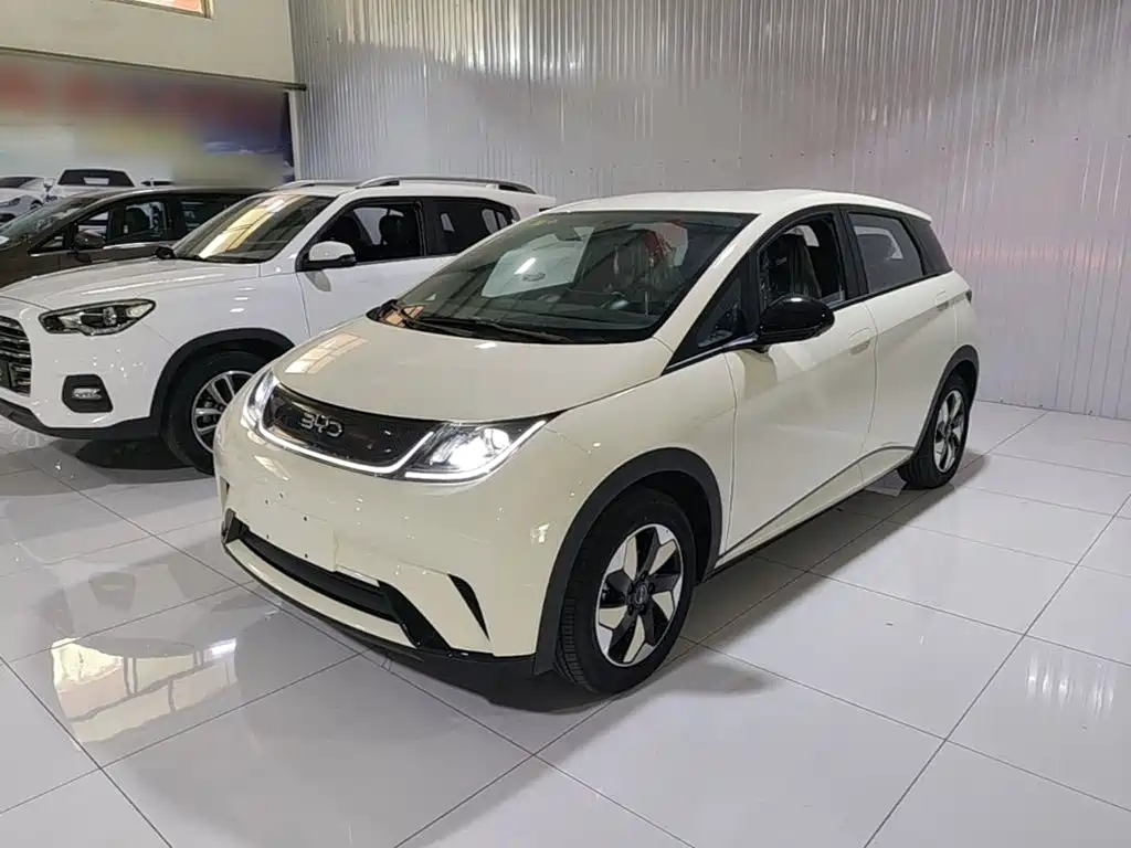 Фото 2 - BYD Dolphin