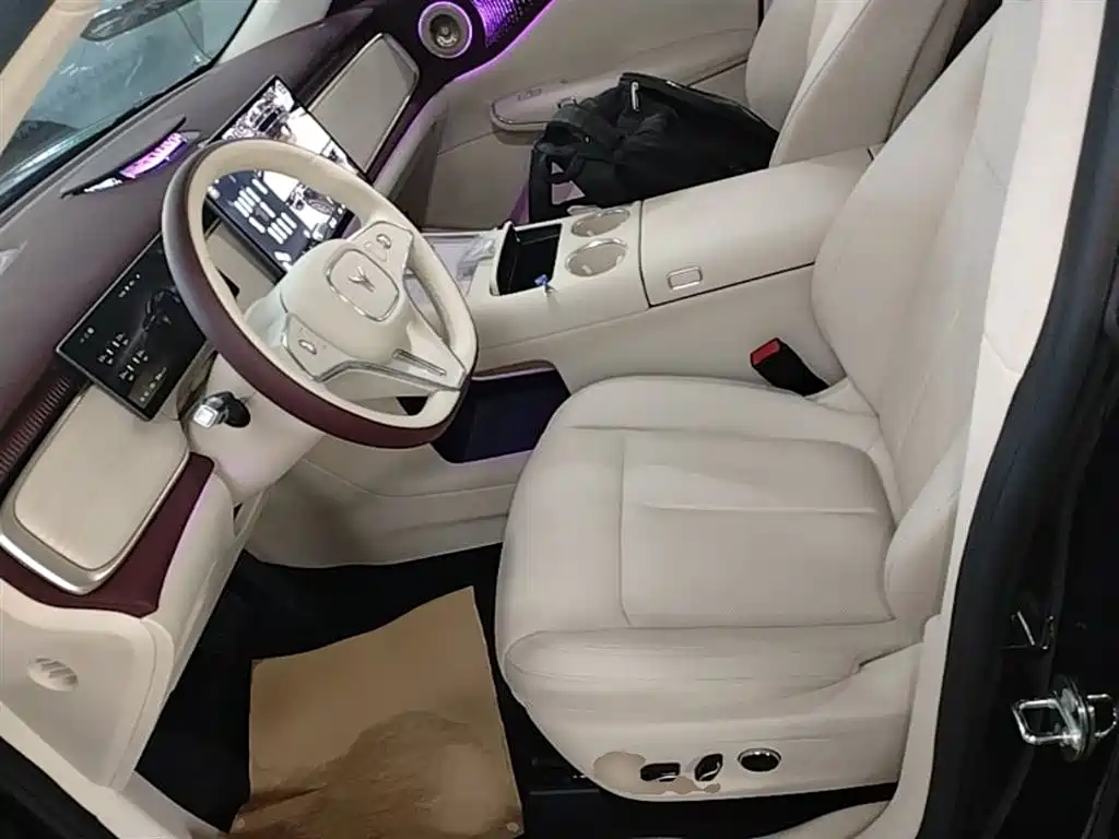Voyah Auto Voyah Zhiyin 2025 Base фото 15