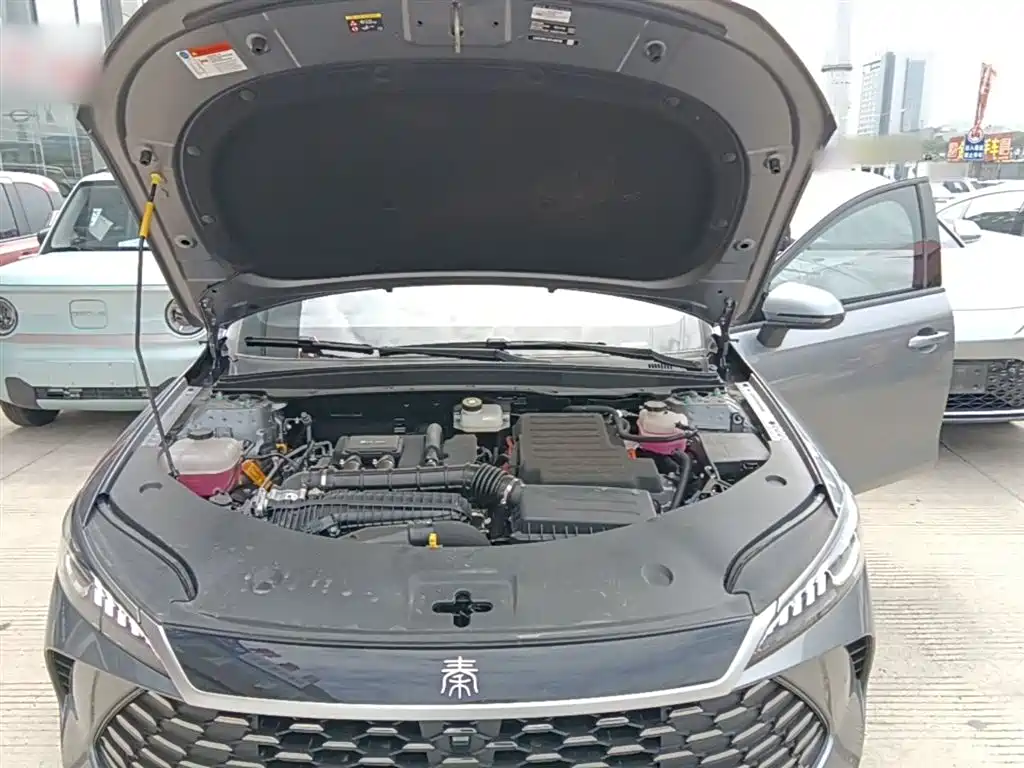 BYD Qin PLUS 2025 DM-i Smart Drive 55KM Leader фото 16