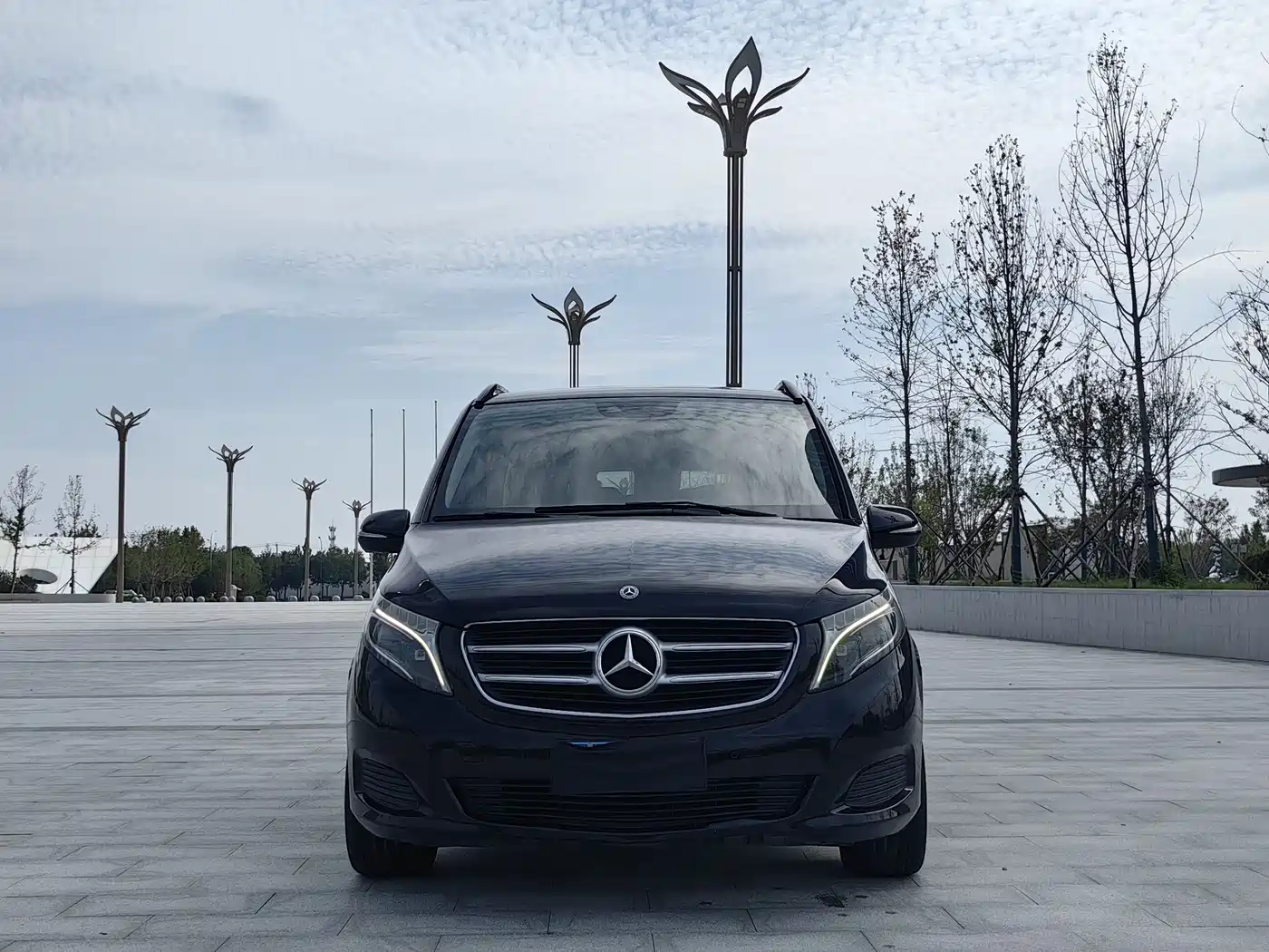 Mercedes-Benz V-Class 2018 V 260 Navigator Edition China VI фото 2
