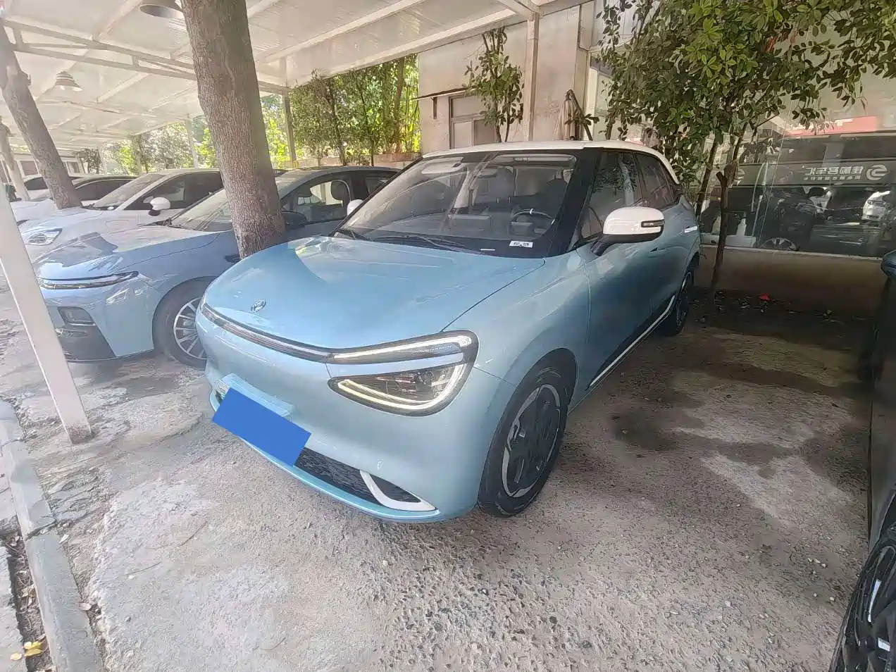 Dongfeng Yipai Nano 01 2025 2024 430 Plus Smart+