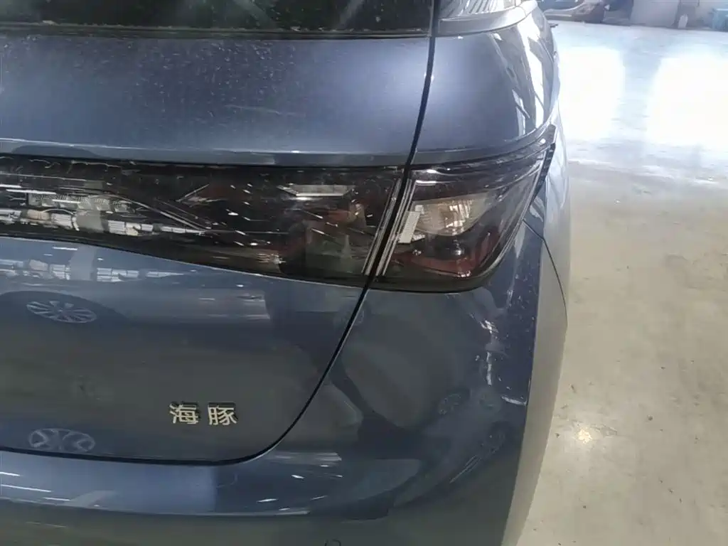 BYD Dolphin 2025 420km Freedom Edition фото 24