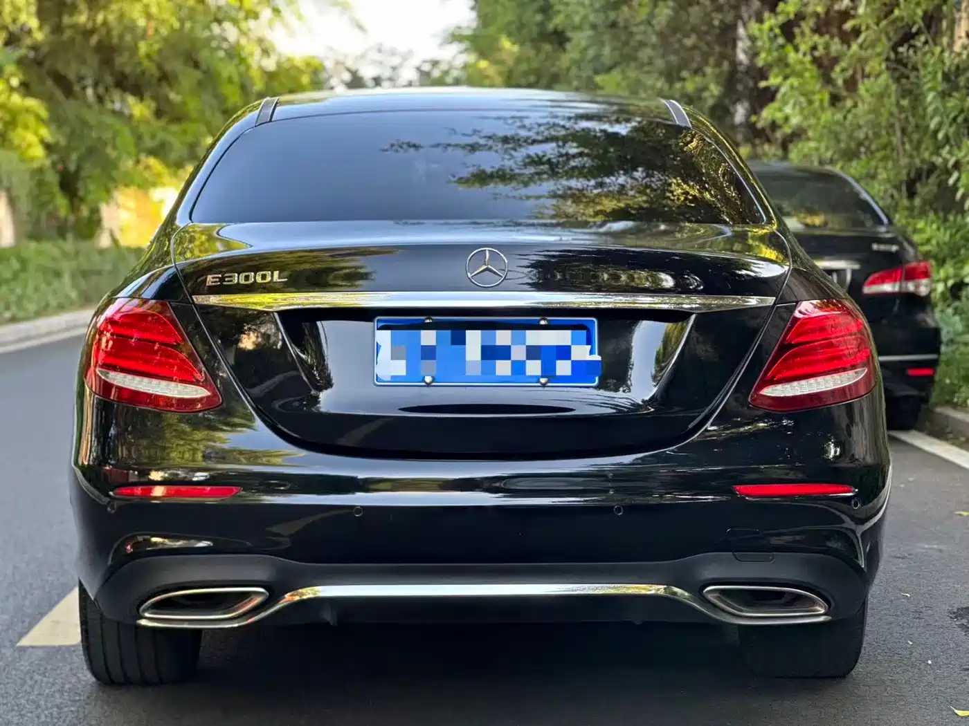 Mercedes-Benz E-Class 2019 E 300 L Sport Fashion фото 9