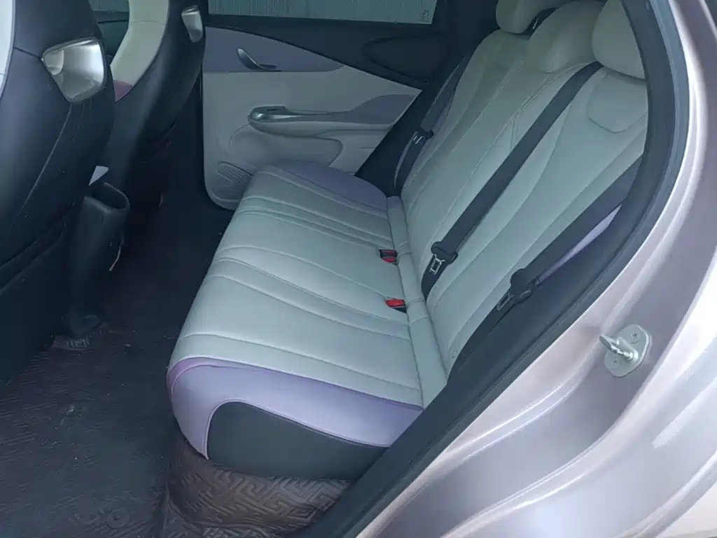 BYD Dolphin 2022 2021 Model 405km Fashion Edition