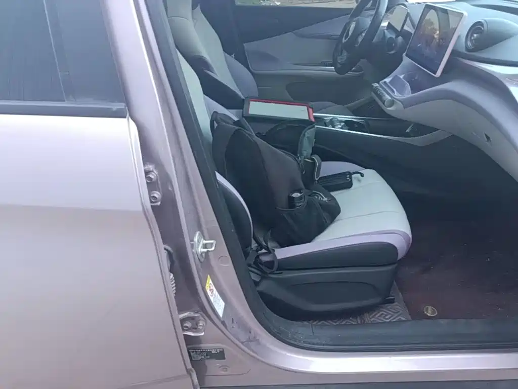 BYD Dolphin 2022 2021 Model 405km Fashion Edition