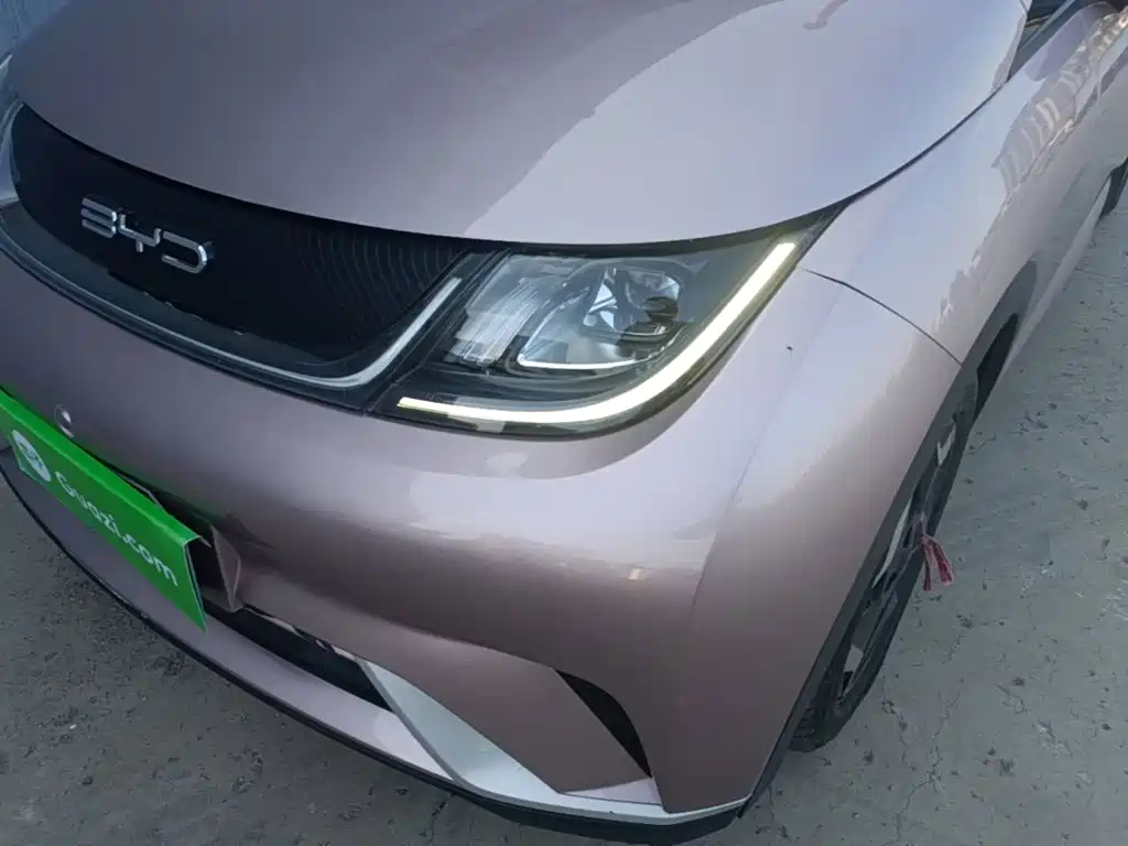 BYD Dolphin 2022 2021 Model 405km Fashion Edition